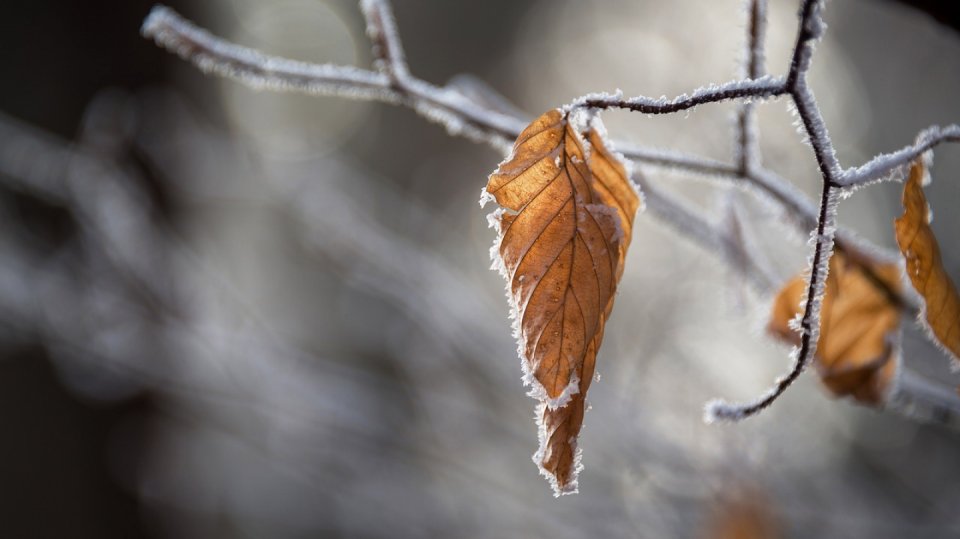 Podle meteorologů nás čeká náledí a sníh